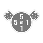 5in1 logo